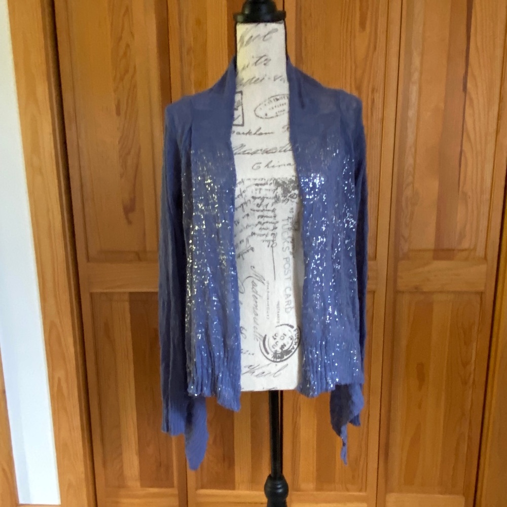Pretty blue with silver detail sweater.